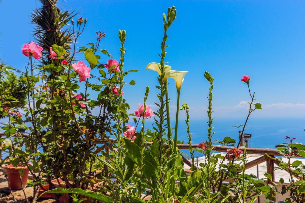 Villa Matilde Amalfi Exterior photo